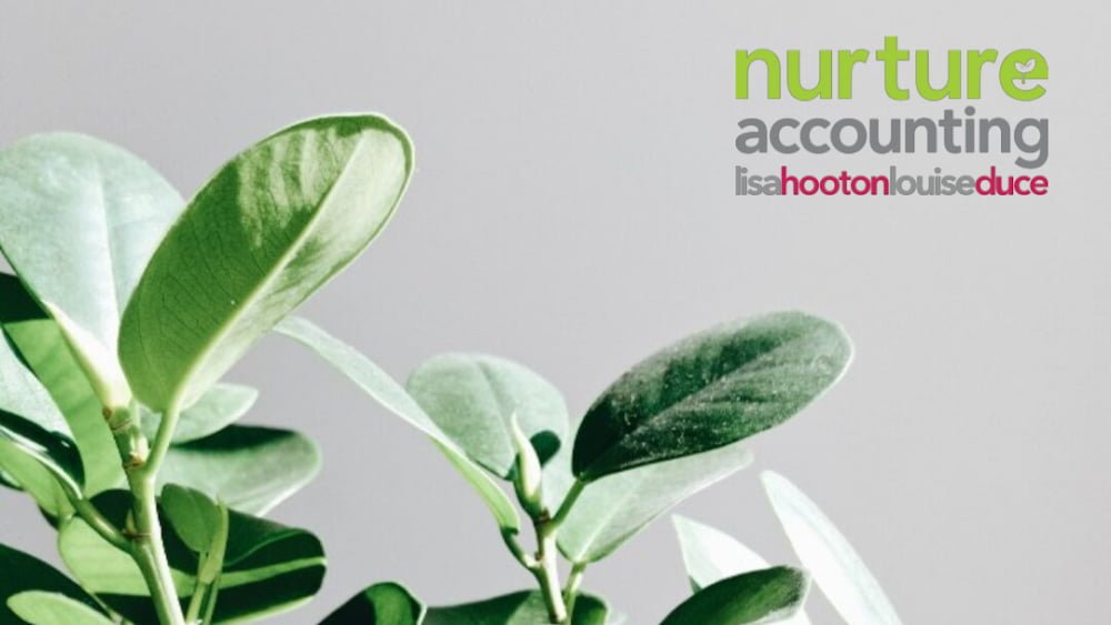 Nurture Accounting